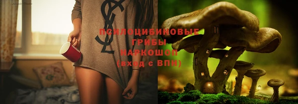 дмт Карпинск